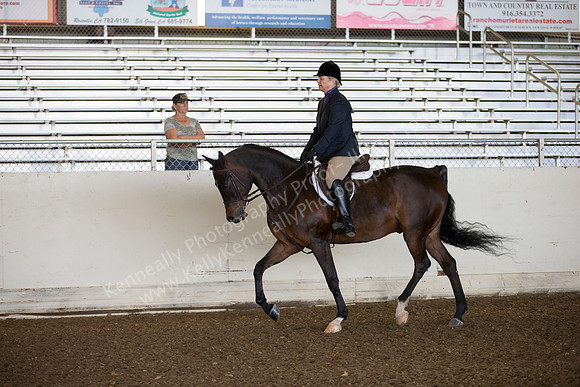 AHANC_Show18_ThursAM_0355