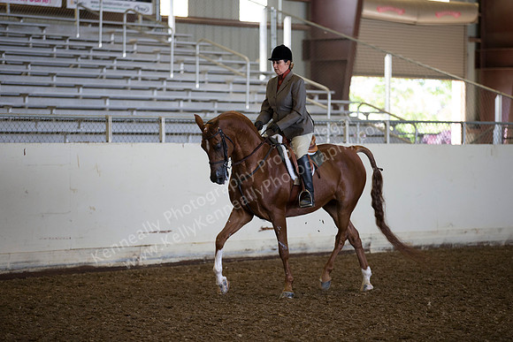 AHANC_Show18_ThursAM_0356