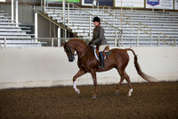 AHANC_Show18_ThursAM_0357