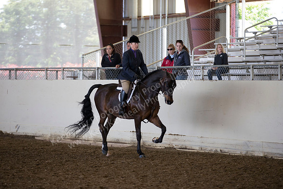 AHANC_Show18_ThursAM_0362