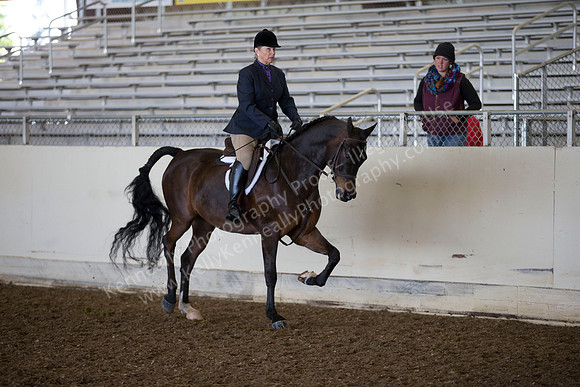 AHANC_Show18_ThursAM_0364
