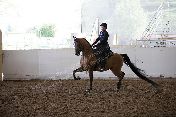 AHANC_Show18_ThursAM_0384