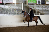 AHANC_Show18_ThursAM_0390