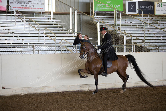 AHANC_Show18_ThursAM_0390