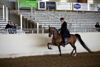 AHANC_Show18_ThursAM_0389