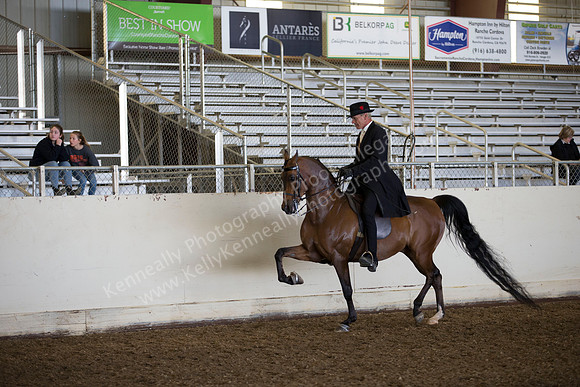 AHANC_Show18_ThursAM_0389
