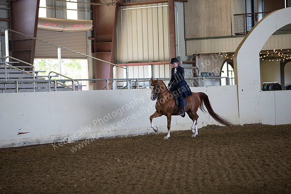 AHANC_Show18_ThursAM_0391