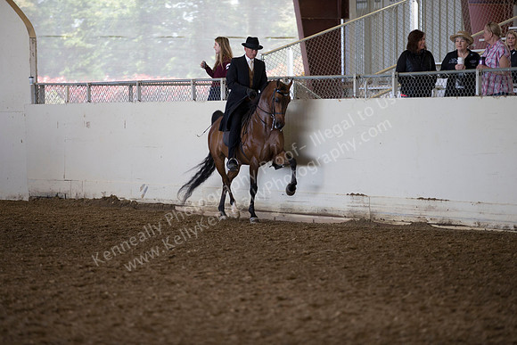 AHANC_Show18_ThursAM_0393