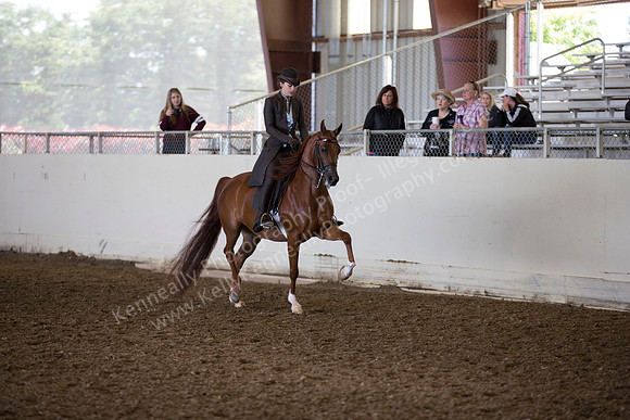 AHANC_Show18_ThursAM_0397