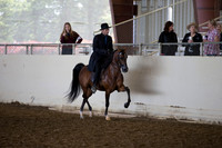 AHANC_Show18_ThursAM_0399