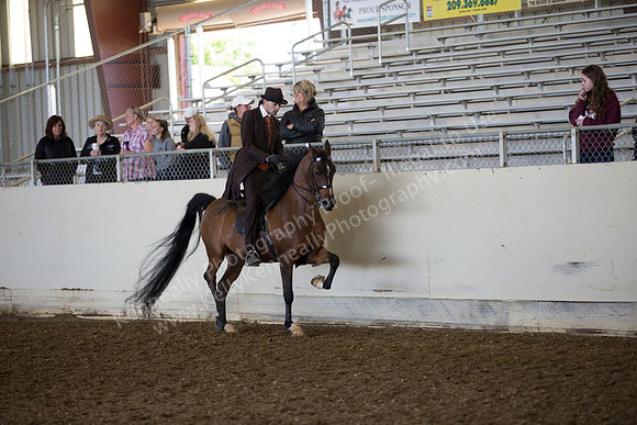 AHANC_Show18_ThursAM_0402