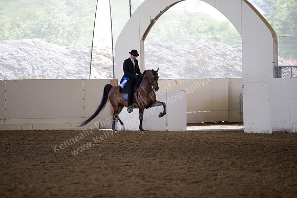 AHANC_Show18_ThursAM_0406