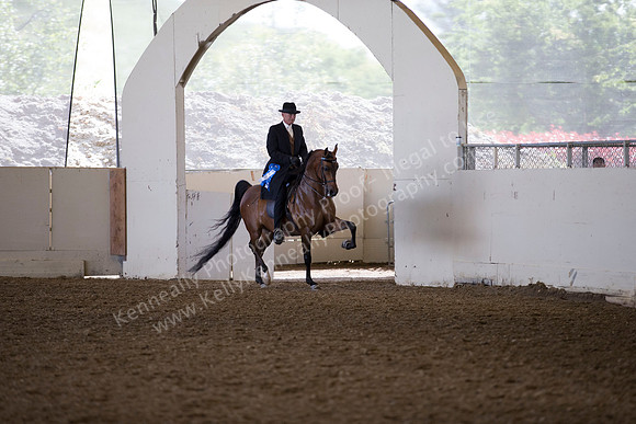 AHANC_Show18_ThursAM_0407
