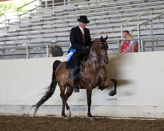AHANC_Show18_ThursAM_0413