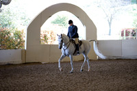 Class 16 Arabian Hunter Pleasure Limit Horses