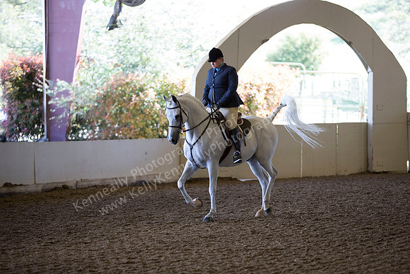 AHANC_Show18_ThursAM_0423