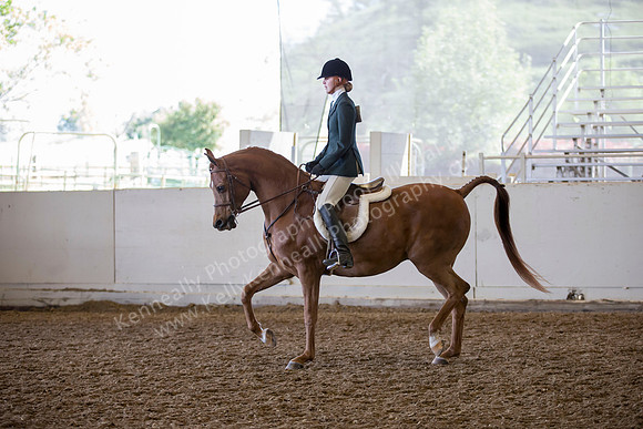 AHANC_Show18_ThursAM_0428