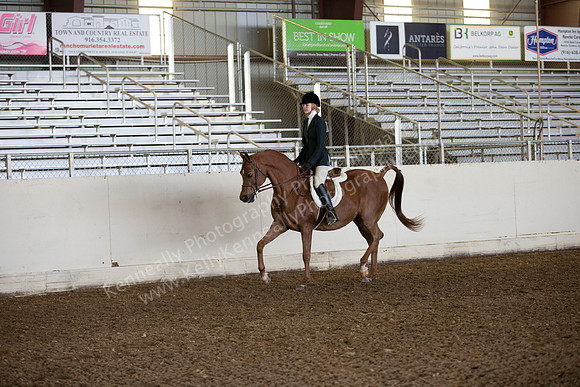 AHANC_Show18_ThursAM_0429