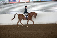 AHANC_Show18_ThursAM_0441