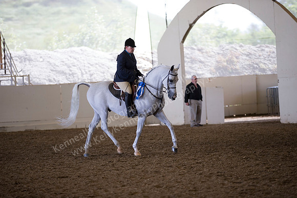 AHANC_Show18_ThursAM_0442