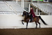 AHANC_Show18_ThursAM_0454