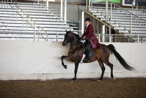 AHANC_Show18_ThursAM_0454