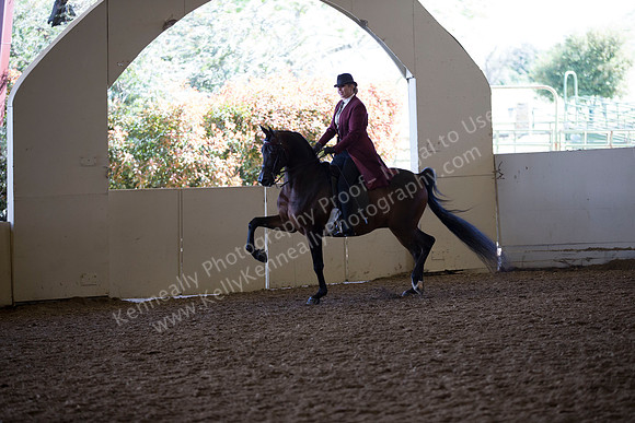 AHANC_Show18_ThursAM_0452