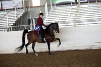 AHANC_Show18_ThursAM_0461