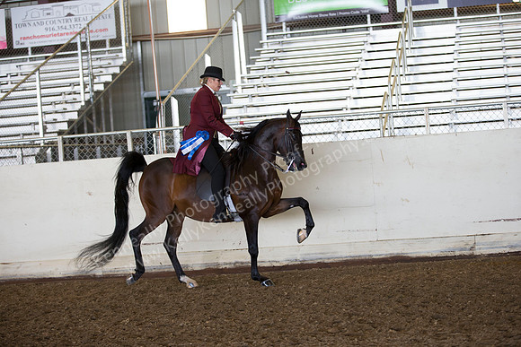 AHANC_Show18_ThursAM_0461