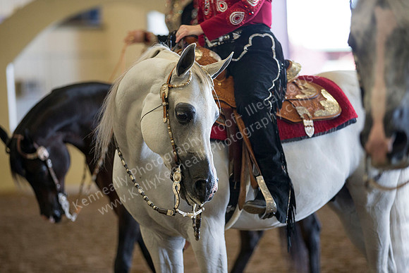 AHANC_Show18_ThursAM_1383