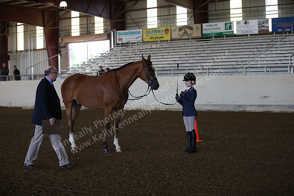 AHANC_Show18_SatAM_2229