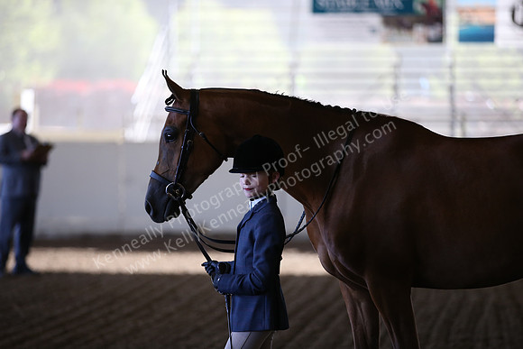 AHANC_Show18_SatAM_2237