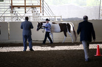 Class 93 A/HA/AA Showmanship ATH Handlers 11-18