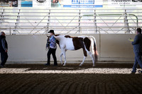 AHANC_Show18_SatAM_2248