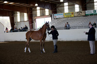 AHANC_Show18_SatAM_2255