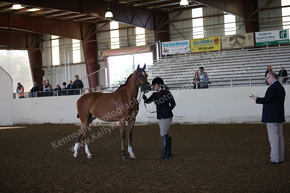 AHANC_Show18_SatAM_2255