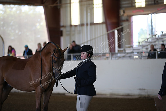 AHANC_Show18_SatAM_2262