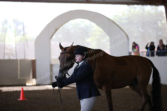 AHANC_Show18_SatAM_2263