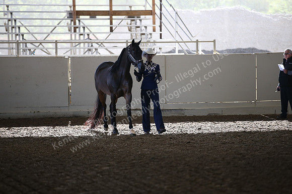 AHANC_Show18_SatAM_2265