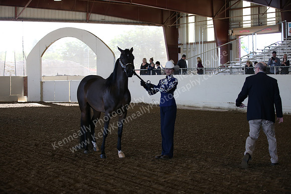 AHANC_Show18_SatAM_2266