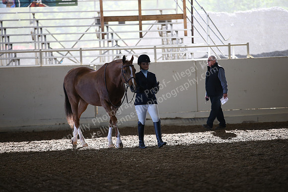 AHANC_Show18_SatAM_2270