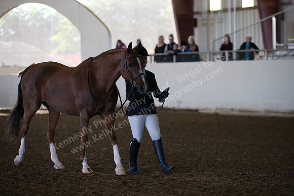 AHANC_Show18_SatAM_2273