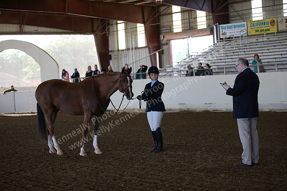 AHANC_Show18_SatAM_2274