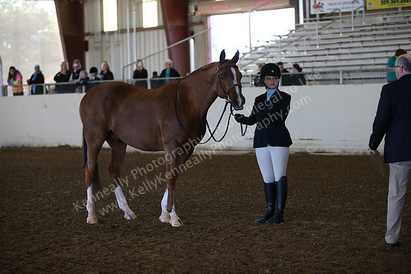 AHANC_Show18_SatAM_2276