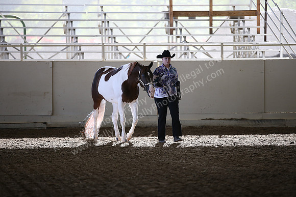 AHANC_Show18_SatAM_2278