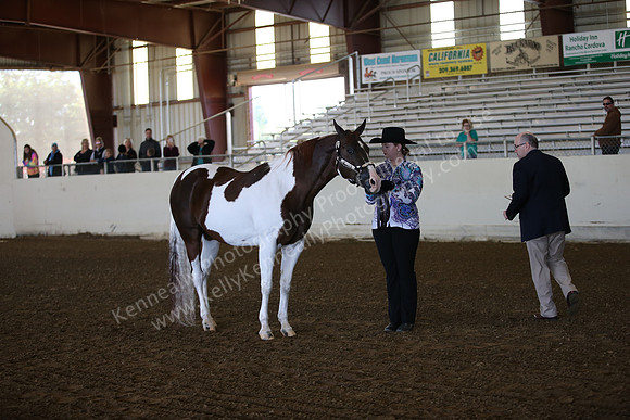 AHANC_Show18_SatAM_2284