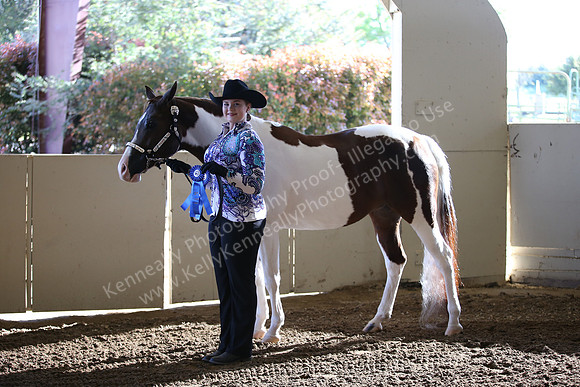 AHANC_Show18_SatAM_2291