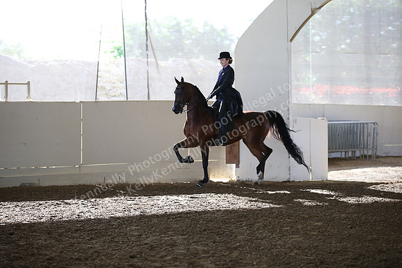 AHANC_Show18_SatAM_2300