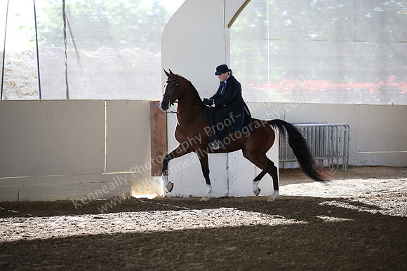 AHANC_Show18_SatAM_2295