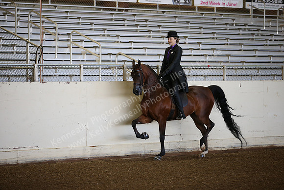 AHANC_Show18_SatAM_2316